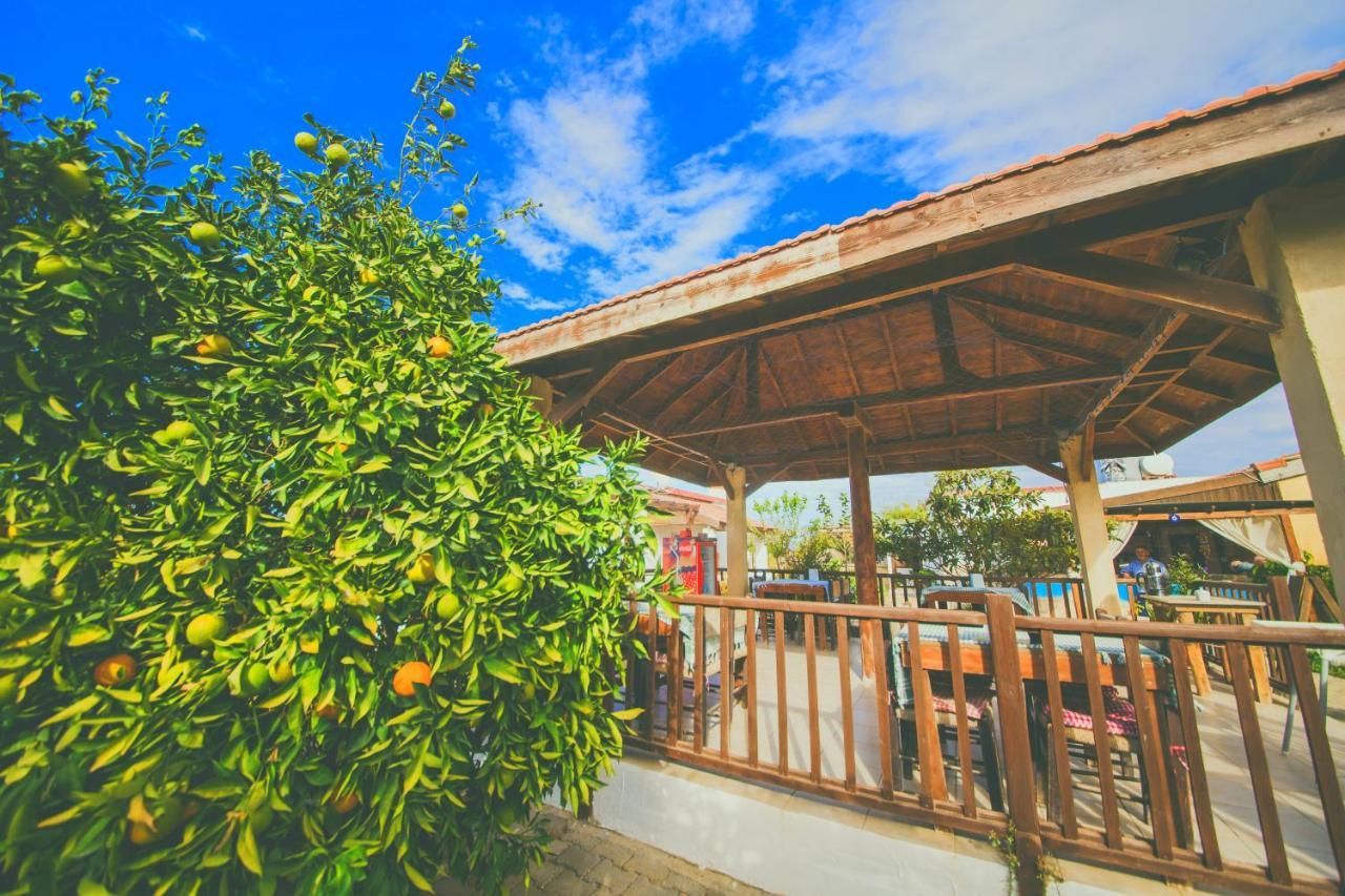 Castle Karpasia Guest House Authentic Atmosphere ! Rizokarpaso Exterior photo